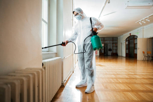 Best Mosquito Control Services  in Oak Grove, KY